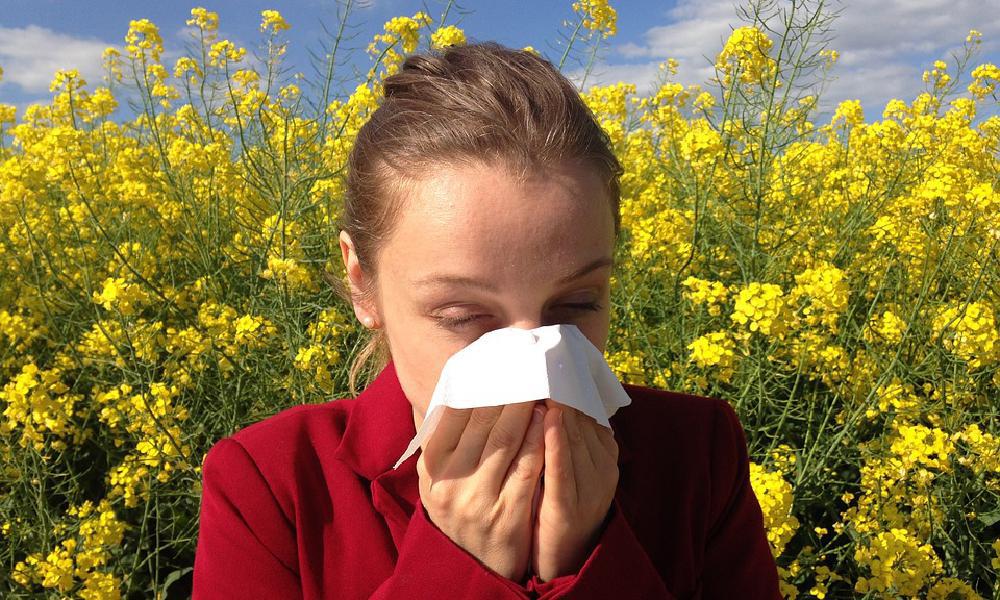 Seasonal Allergies